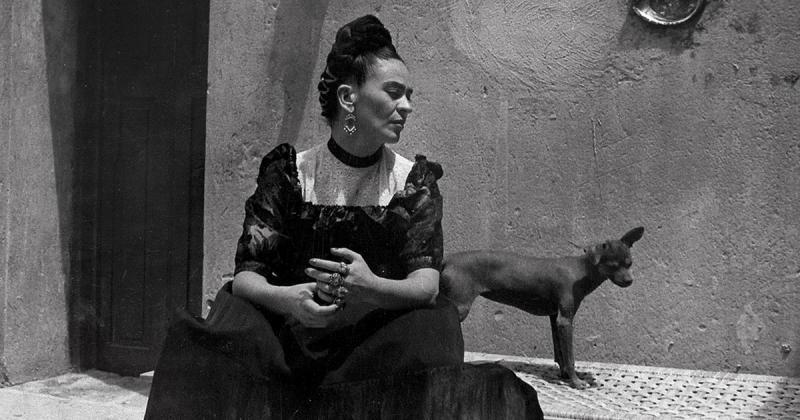 A Mai Manó Ház Frida Kahlo kiállítása új időpontot kapott, így a látogatók továbbra is felfedezhetik a híres mexikói művésznő lenyűgöző világát.