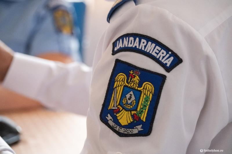 Csendőrség: Itt az emberek tudatában vannak, hogy a medvék bármikor támadást indíthatnak | Székelyhon
