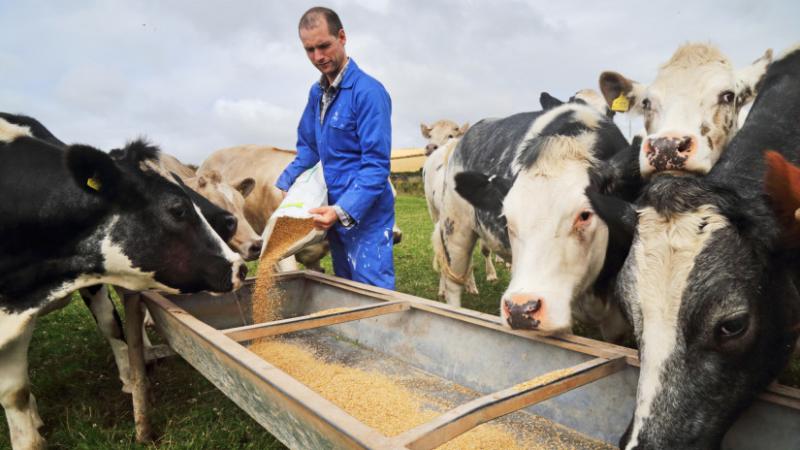 Az időjárás minden tervet keresztülhúzhat: a helyzet ebben a régióban igazán aggasztó - Agro Napló
