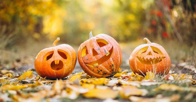 Halloween a kertben: Ijesztő inspirációk saját készítésű díszítésekhez

Ahogy közeledik a Halloween, a kertekben is megjelenhet a kísérteties hangulat! Miért ne varázsolnánk a saját udvarunkat egy ijesztő birodalommá? Íme néhány rémisztően kreatív ötlet, 
