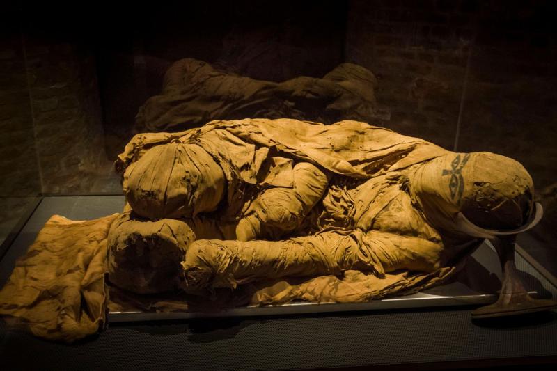 Sokk Egyiptomban, amikor felfedték a Föld legfélelmetesebb múmiájának rejtélyes szarkofágját. Az, ami a fedél alá rejtőzött, minden várakozást felülmúlt.