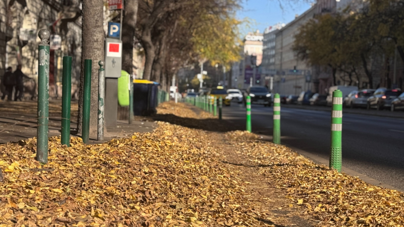 Budapest a levéltenger hullámaiban - Karácsony még az őszi takarítást is nehezen viseli.