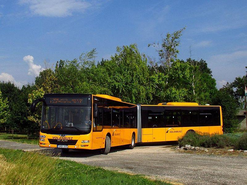 Hogyan biztosítható, hogy az új magyar törvények bevezetésével elegendő busz álljon rendelkezésre?